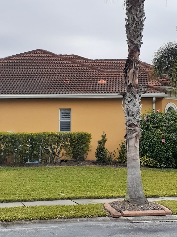 Slide of Apple Roof Cleaning