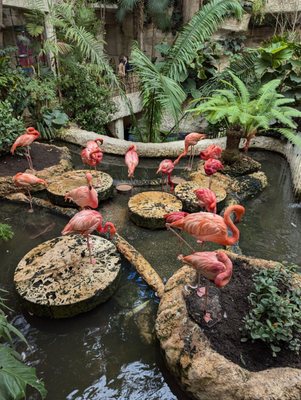 The Dallas World Aquarium by null