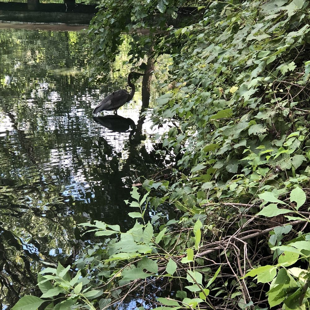 Antioch Park - Parks Near Me - Merriam, Kansas