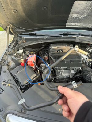 Cadillac of Beverly Hills by null