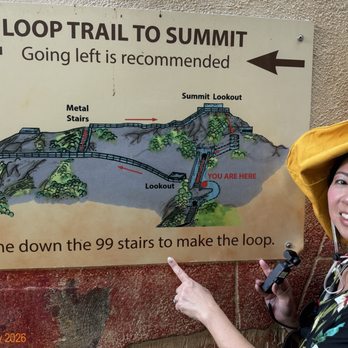 Aloha Diamond Head Hike - Bus Tours Near Me