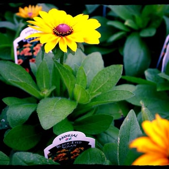 Parkview Nursery - Nurseries & Gardening Near Me - Riverside, California Parkview Nursery - Nurseries & Gardening Near Me - Riverside, California