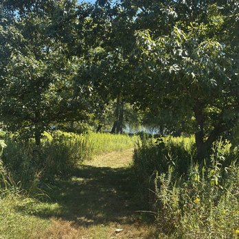 Shaw Nature Reserve - walkway - Botanical Gardens Near Me - Gray Summit, Missouri