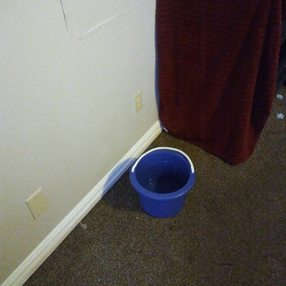 Realty Wealth Advisors - My trusty bucket that we HAVE to leave n the room or its more water everywhere - Property Management Near Me - Indianapolis, Indiana Realty Wealth Advisors - My trusty bucket that we HAVE to leave n the room or its more water everywhere - Property Management Near Me - Indianapolis, Indiana