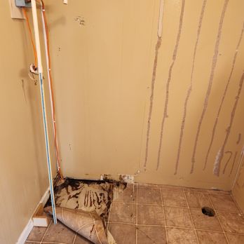 Bonds Remodeling - Mold and flooring damage, we take care of it and get you fixed up right. - General Contractors Near Me - Benton, Kentucky