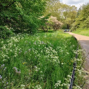 Hyde Park - Parks Near Me