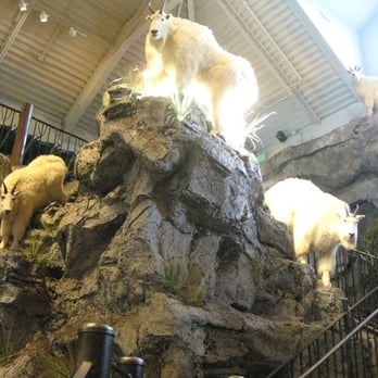 Bass Pro Shops - Outdoor Gear Near Me - Manteca, California Bass Pro Shops - Outdoor Gear Near Me - Manteca, California