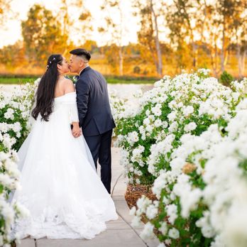 Ashley Teasley Photography - Event Photography Near Me