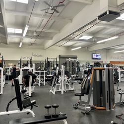 FITNESS SF - Marin - Weight center