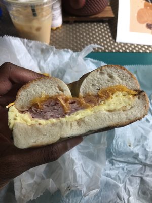 New York Bagel by null