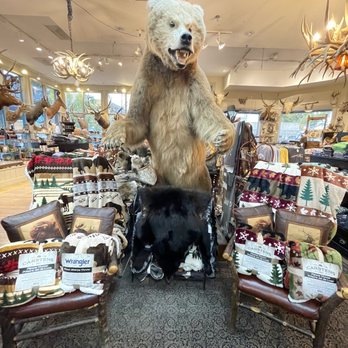 Jackson Mercantile - Taxidermy Near Me - Jackson, Wyoming