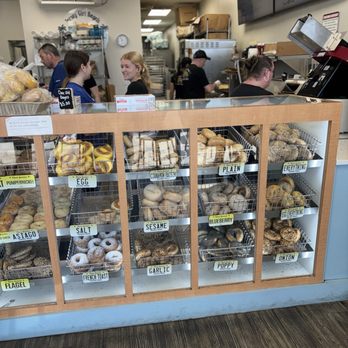 Jersey Girl Bagels - Selection - Bagels Near Me - Bradenton, Florida Jersey Girl Bagels - Selection - Bagels Near Me - Bradenton, Florida