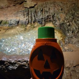 Pumpkin was here Make a wish Pumpkin was here Make a wish