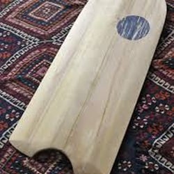 Wood paipo. Perfect for proners.