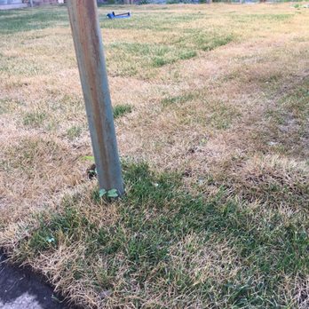 Scully Maintenance - a fire hydrant in the grass - Landscaping Near Me - Chicago, Illinois Scully Maintenance - a fire hydrant in the grass - Landscaping Near Me - Chicago, Illinois