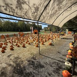 Clark's Farm