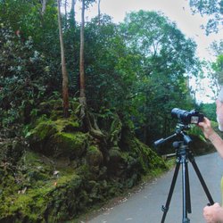 Island Photo - Every turn of a Hawaii road holds a story - like this one on the way to Waipio