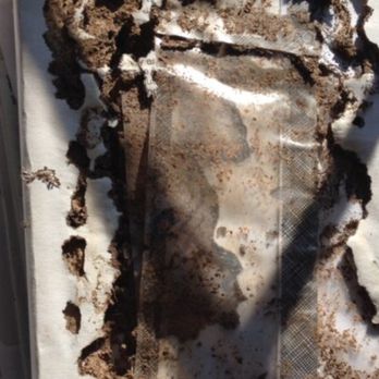 Sam The Bug Man - Pest Control Near Me Sam The Bug Man - Pest Control Near Me