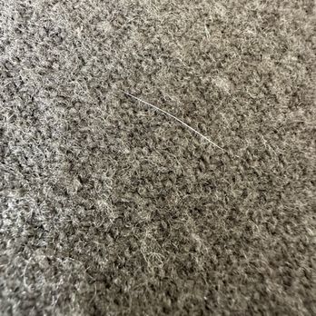 The State Hotel - Dog hair on the bed blanket. There were multiple hairs. - Hotels Near Me - Seattle, Washington