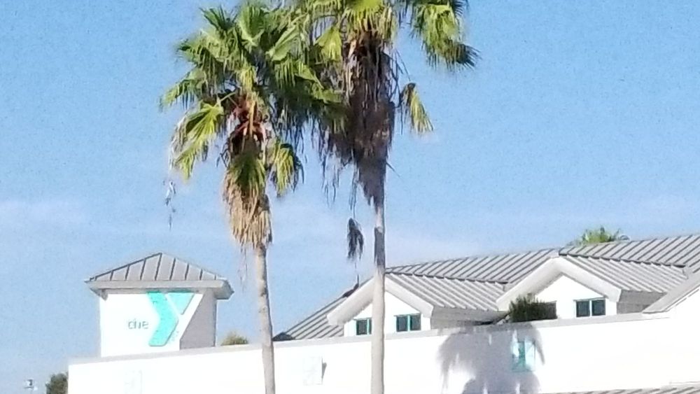 Lakewood Ranch Branch YMCA Image
