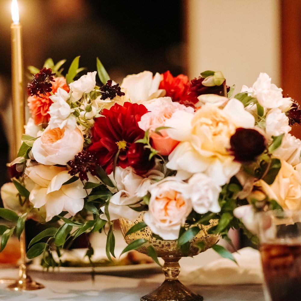 Seed Floral - Florists Near Me - Los Angeles, California