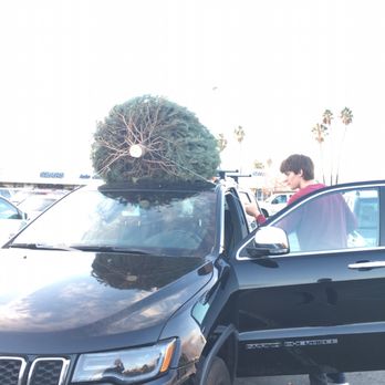 Santa's Surplus Trees - Christmas Trees Near Me - Concord, California Santa's Surplus Trees - Christmas Trees Near Me - Concord, California