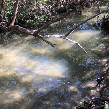Emerson Point Park - Creek - Parks Near Me - Palmetto, Florida