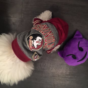PetSmart - Love the merchandise they sell!! How cute is the shirt and emoji squeaky toy? - Pet Stores Near Me - Jacksonville, Florida