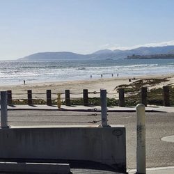 Loyal Order of Moose - Pismo moose lodge