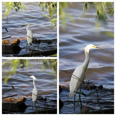 Andy Lindgren Photography