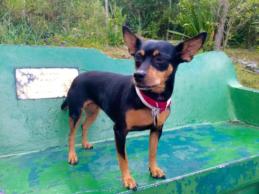 Drake's Seat by null