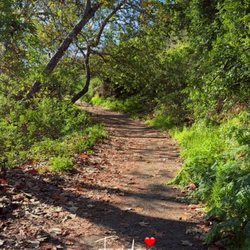 Trestles Beach - Dirt walking path