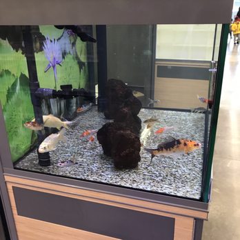 Petco - Pet Stores Near Me - Laurel, Maryland