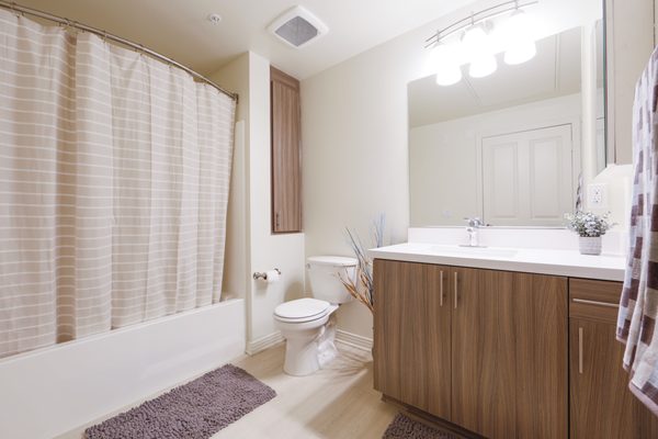 Aura NoHo Luxury Apartments by null