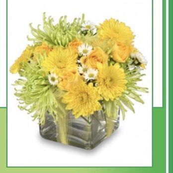 Wilbraham Flowers - Florists Near Me - Wilbraham, Massachusetts