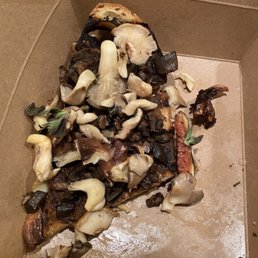 Wild Mushroom Toast