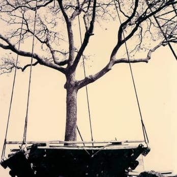 Bayou Tree Service - Tree Services Near Me - New Orleans, Louisiana Bayou Tree Service - Tree Services Near Me - New Orleans, Louisiana