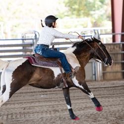 Yucaipa Equestrian Center