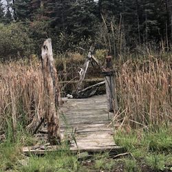 Coopersville Old West Town - Old dock