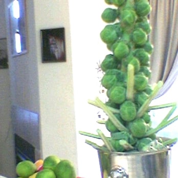 Berkeley Bowl Marketplace - Brussel Sprouts On The Stalk-11/19/2007= $1.95 per Stalk - Grocery Near Me - Berkeley, California Berkeley Bowl Marketplace - Brussel Sprouts On The Stalk-11/19/2007= $1.95 per Stalk - Grocery Near Me - Berkeley, California