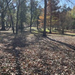 Oaklawn Garden