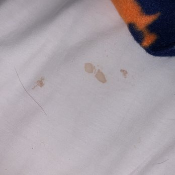 Fairfield by Marriott Inn & Suites Eugene East/Springfield - stain on the sheets - Hotels Near Me - Eugene, Oregon