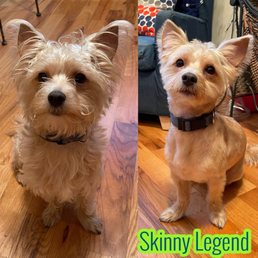 My Sonny Boy before and After. My Sonny Boy before and After.