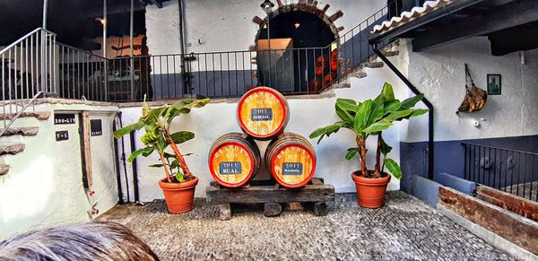 Blandy's Wine Lodge by null