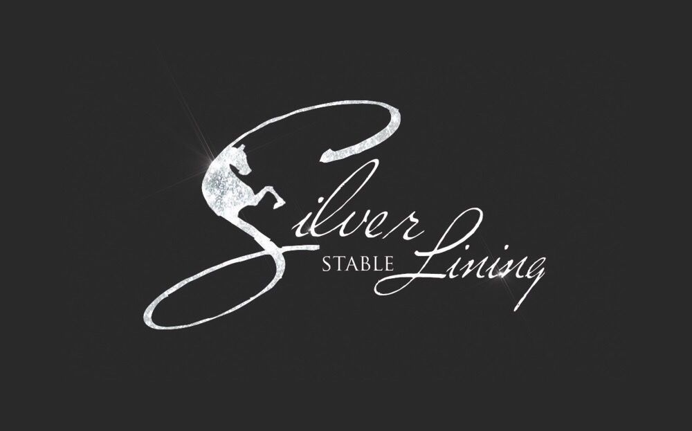 Silver Lining Stable - equestrian in Louisville, KY