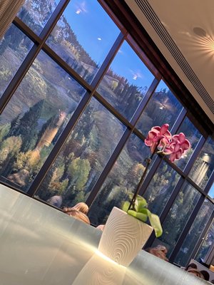 The Cliff Lodge by null