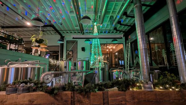 Grand Fir Brewing by null Grand Fir Brewing by null