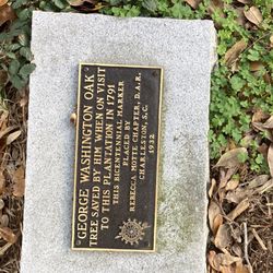 Hampton Plantation Historic Site