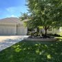 Photo of Grade-A Tree Care