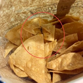 Pinches Tacos - Praying mantis in the chips - Mexican Near Me - Los Angeles, California